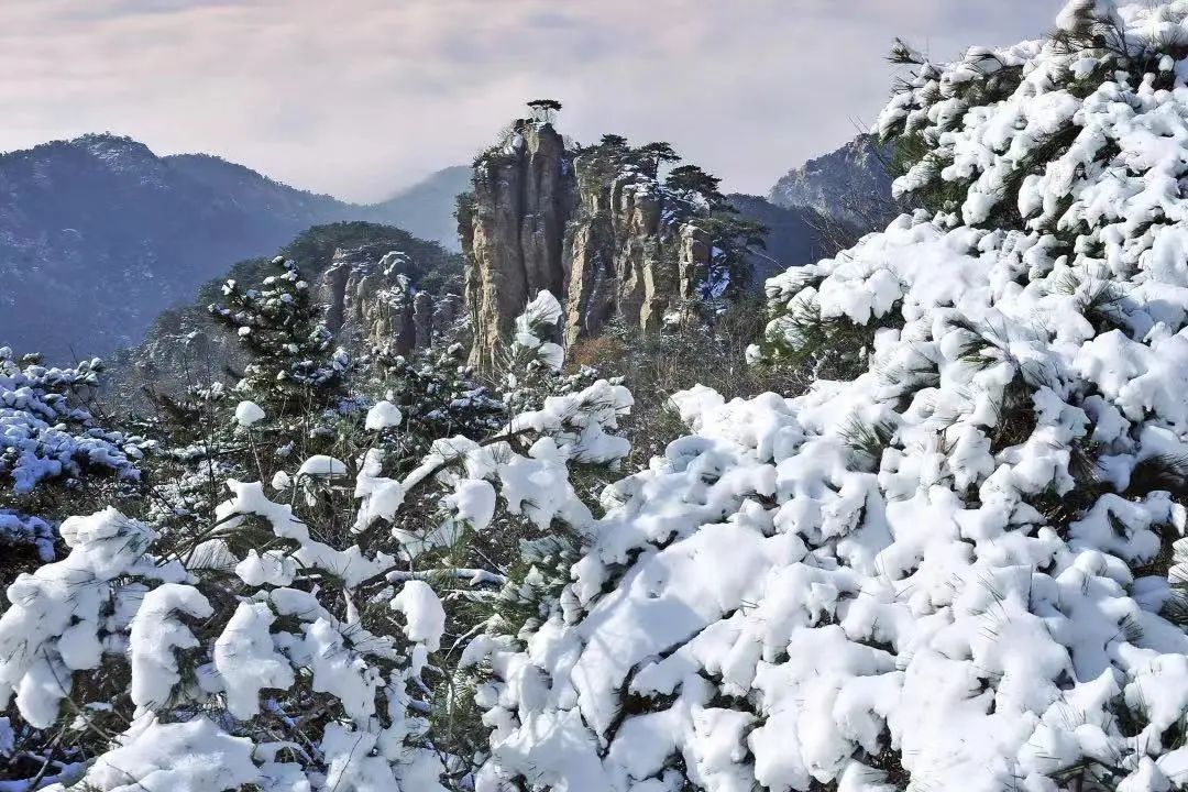 初雪来啦！带您打卡临沂冬游好去处